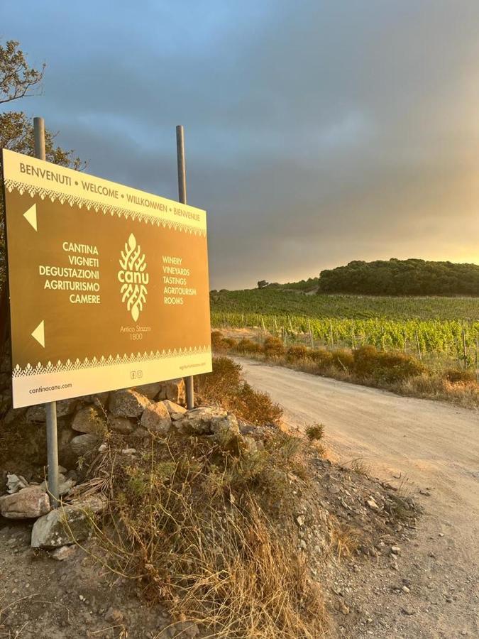 Cantina&Agriturismo Canu Villa Luogosanto Ngoại thất bức ảnh