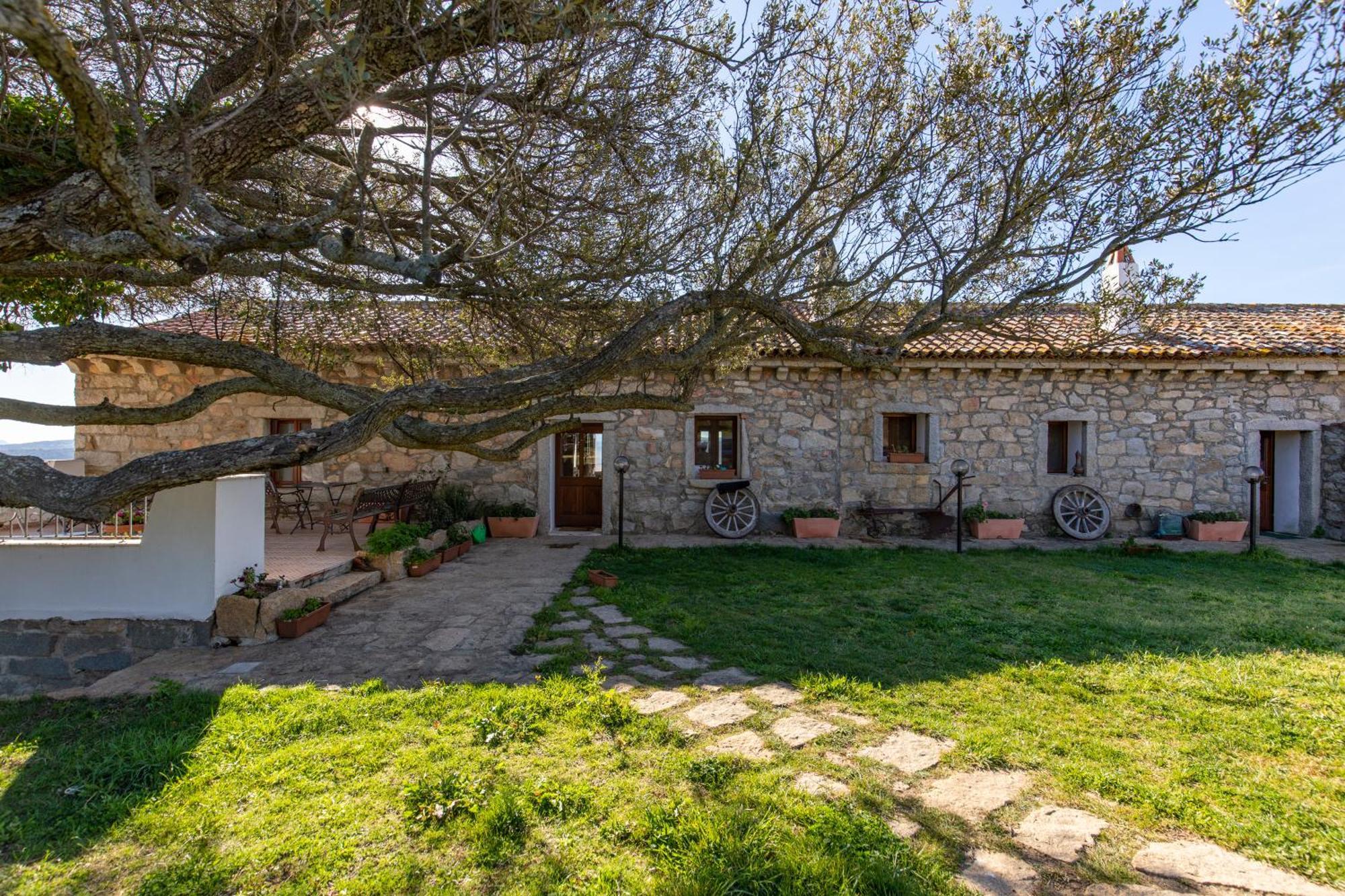 Cantina&Agriturismo Canu Villa Luogosanto Ngoại thất bức ảnh