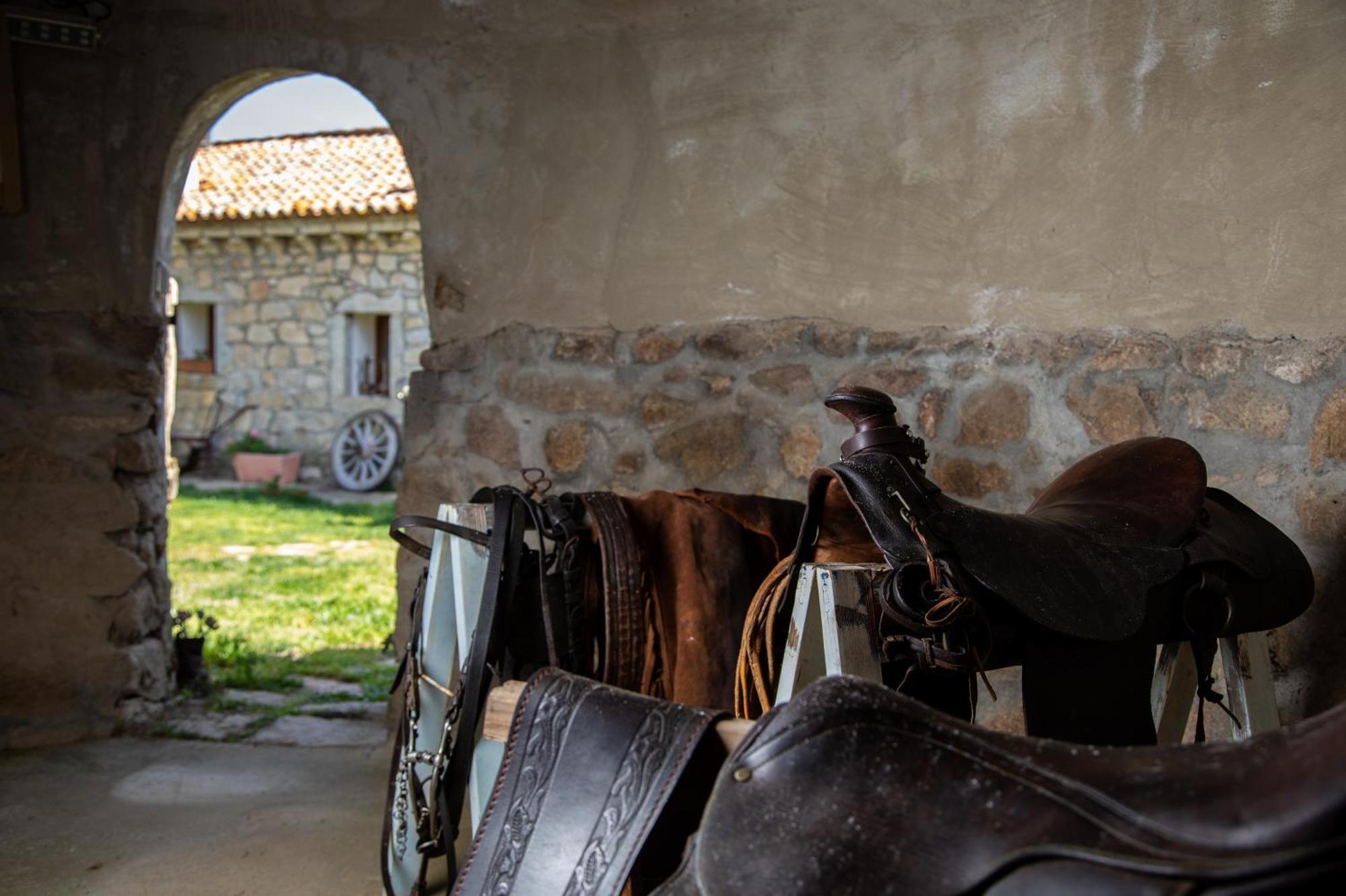 Cantina&Agriturismo Canu Villa Luogosanto Ngoại thất bức ảnh