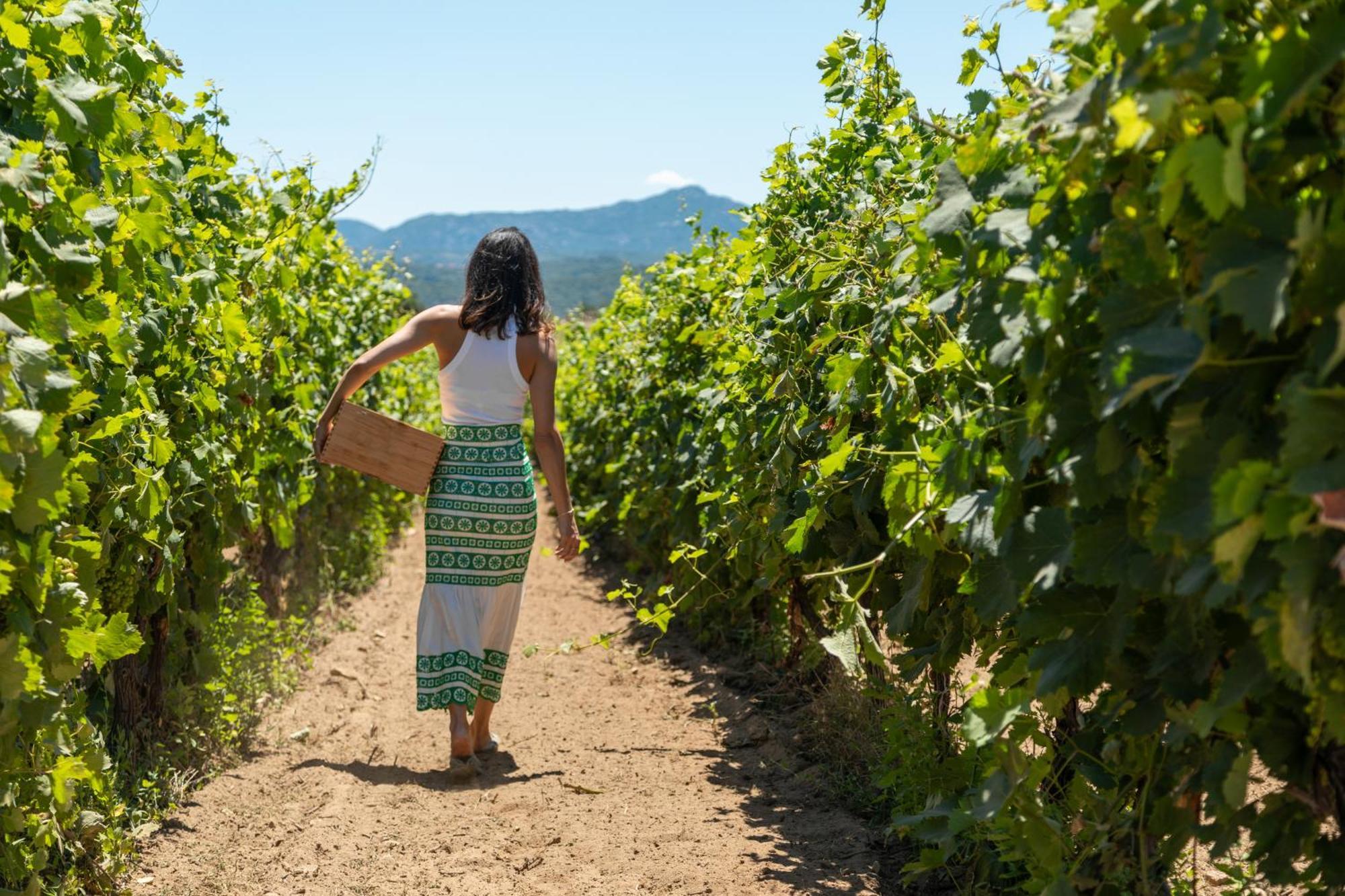 Cantina&Agriturismo Canu Villa Luogosanto Ngoại thất bức ảnh