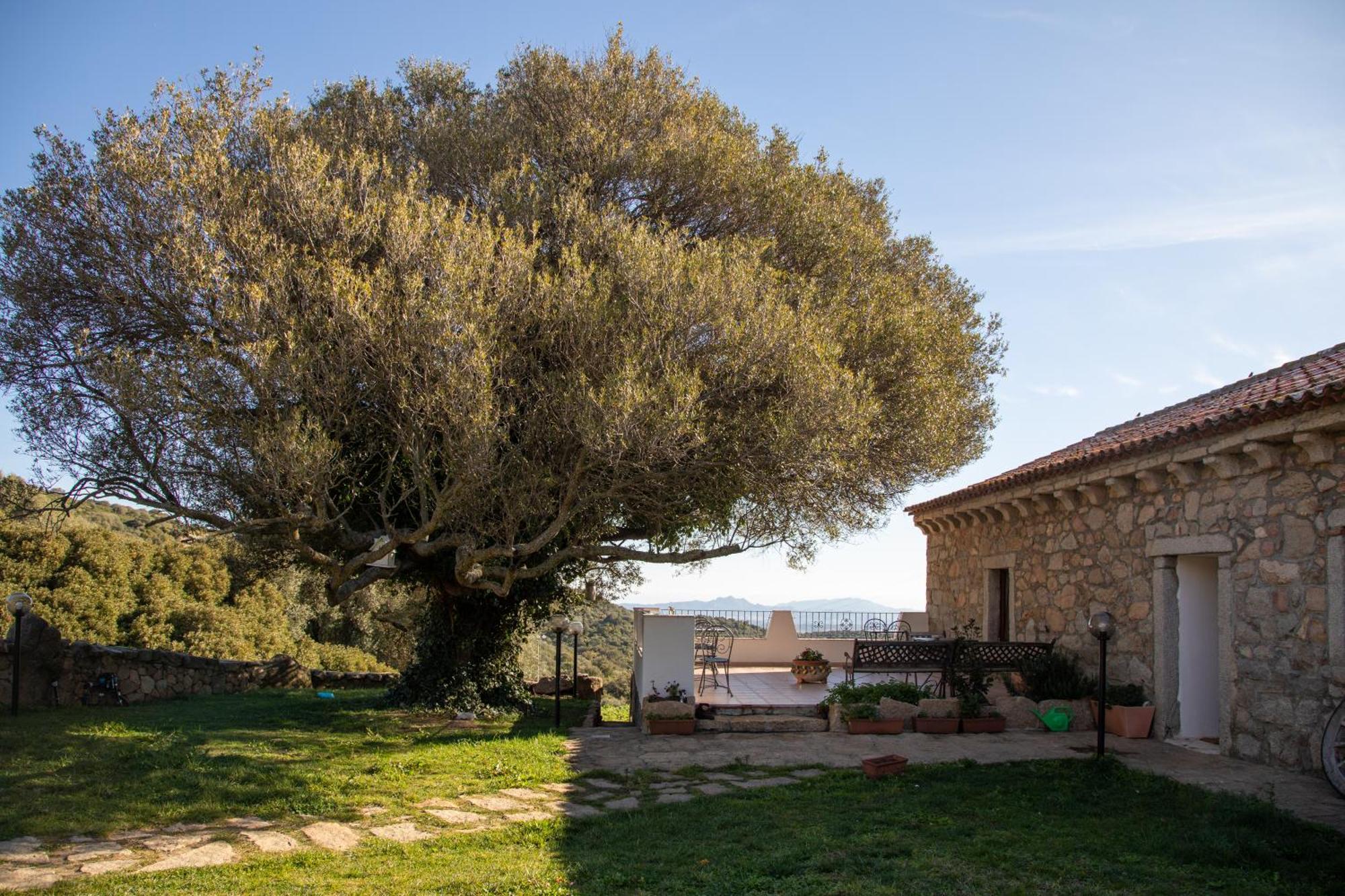 Cantina&Agriturismo Canu Villa Luogosanto Ngoại thất bức ảnh
